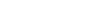 Beruška za volantem