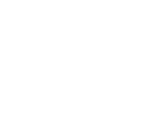Boxerské rukavice 001 levá