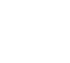 Chobotnice 002 pravá
