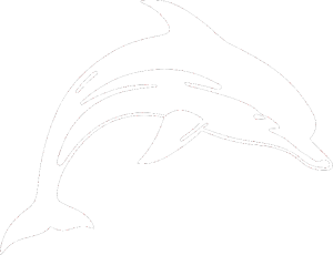 Delfín 002 pravá