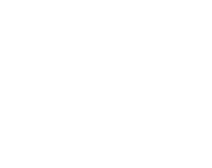 Delfín 003 levá