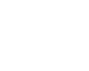 Delfín 003 pravá