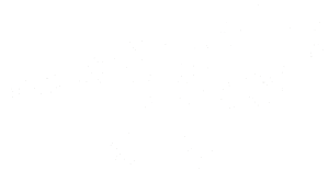 Dinosaurus kostra 001 pravá