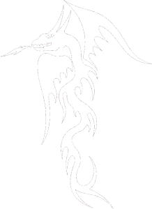 Dragon 013 levá