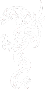 Dragon 019 levá