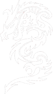 Dragon 022 levá