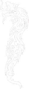 Dragon 023 levá