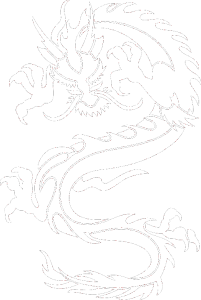 Dragon 029 levá