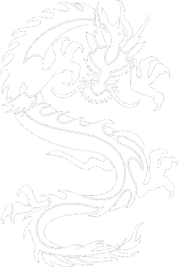 Dragon 029 pravá