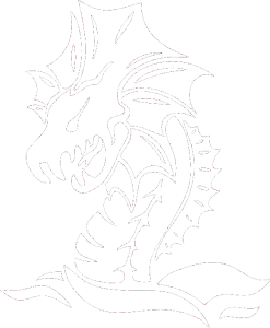 Dragon 040 levá