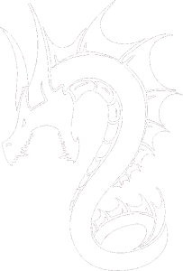 Dragon 041 levá