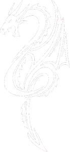 Dragon 042 levá