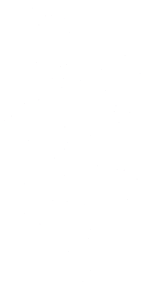Dragon 050 levá