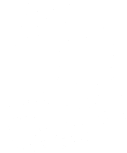 Drift bear