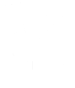 Drifter in car 003