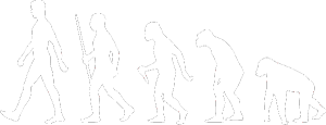 Evoluce 001 levá