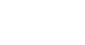 Fiat Bravo karikatura pravá