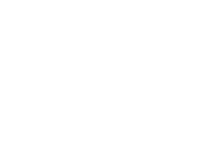 Grumpy cat 001 levá