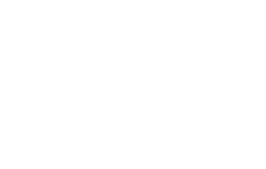 Hyena 001 levá
