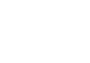 Interiér 019 pravá zebry