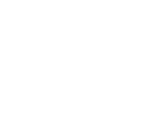 Ježek 003 pravá s květinou