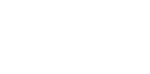Just Married 003 ptáčci