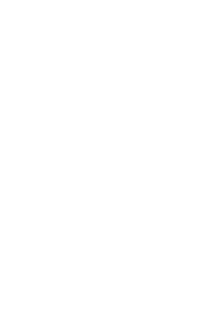 Kaktus 002 pravá