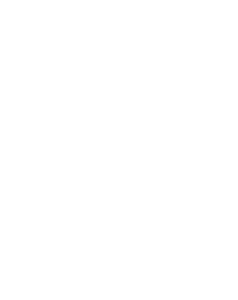 Kaktus 003 levá