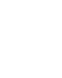 Kaktus 003 pravá