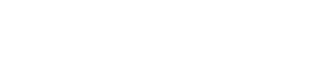 Kamiq limited edition levá