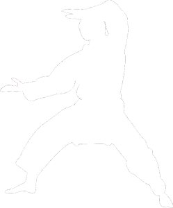 Karate 006 levá