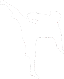 Karate 009 levá