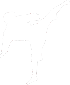 Karate 009 pravá