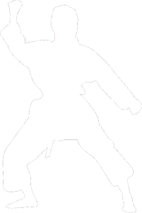 Karate 011 levá
