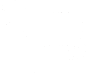 Kráva 001 levá