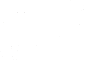 Kráva 001 pravá