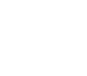 Kráva 003 levá