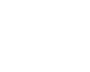 Kůň 039 pravá