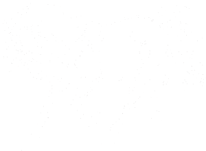 Kůň 048 levá