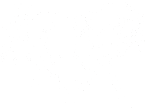 Kůň 048 pravá