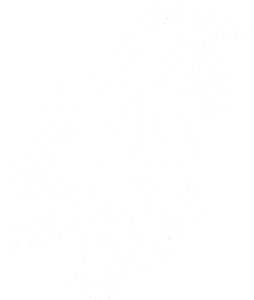 Kůň 054 pravá