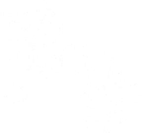 Kůň 055 levá