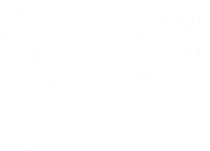 Kůň 056 levá