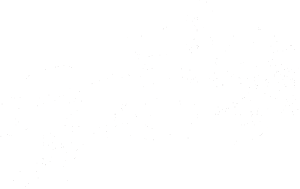 Kůň 059  pravá jezdec na koni parkur