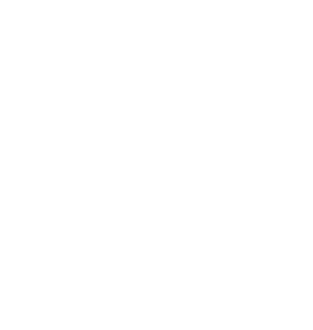 Kůň 063 podkova I love
