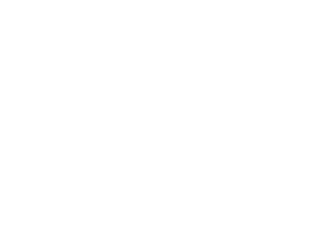 Kůň 071 levá běžící