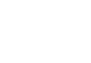 Kůň 071 pravá běžící