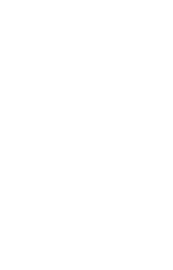 Kůň 077 levá