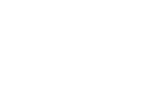 Kůň 098 levá běh