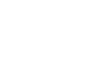 Kůň racing 001 levá se šachovnicí